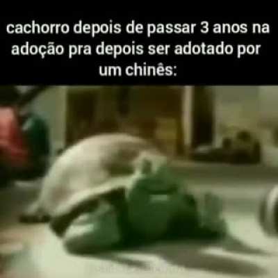 😎👌‹›