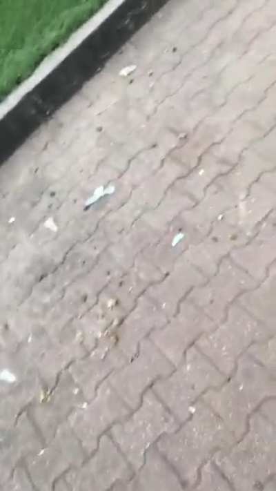 Just keep rolling