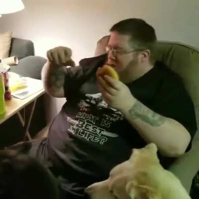 Little bastard stealing my McDouble!