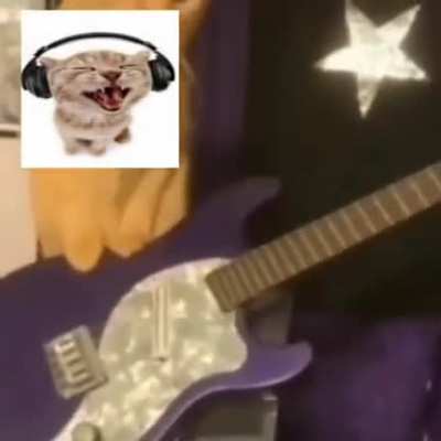 Mow mow mow mow