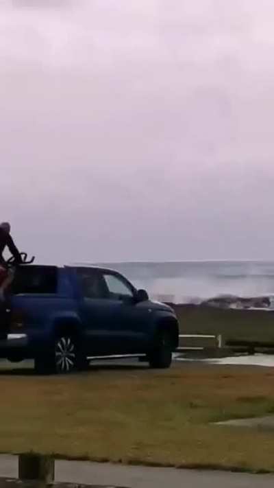 Just another day at the beach.