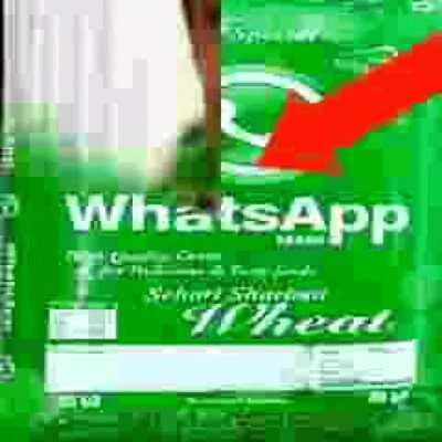 What's app