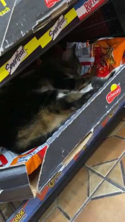 Taking a break after stocking shelves