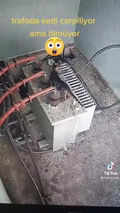 Минус две жизни