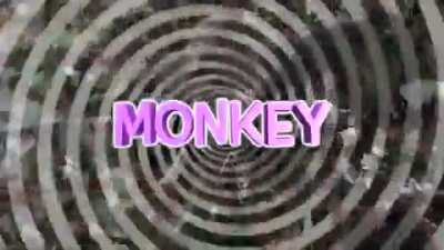 i am a monke