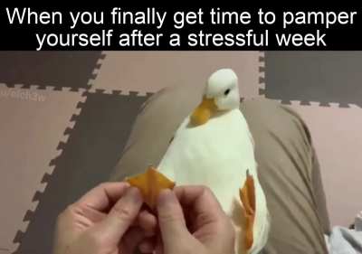 This will be me on my day off tomorrow
