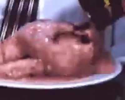 chicken