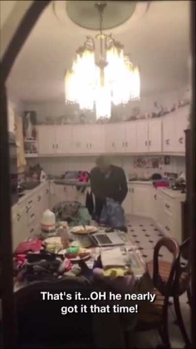 Irish family vs. a tiny bat