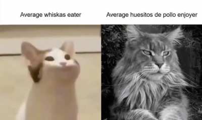 Sí