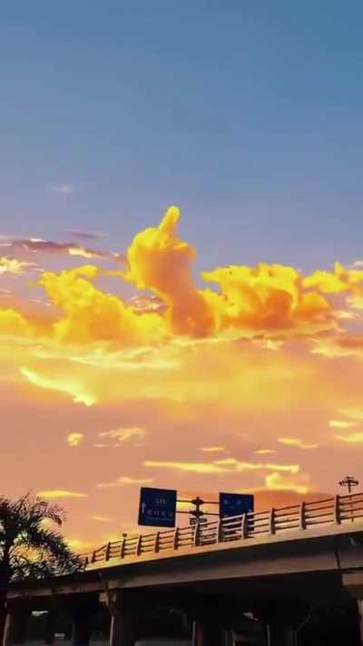Pat Cummins woke up today, went to balcony & said “God, give me sign!” God: