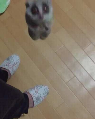 Houston, we have liftoff!