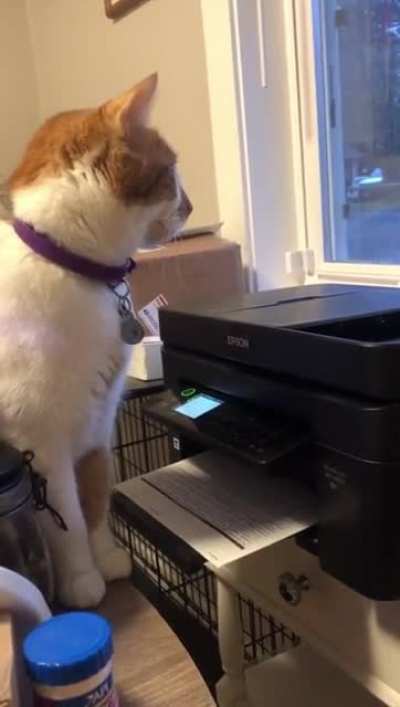 Startled by the printer