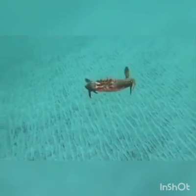 Helikopter
