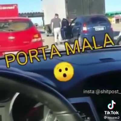 wtf vaca no carro