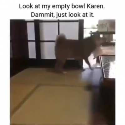 Feed me