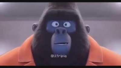 Happy monkey?