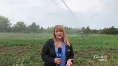 Reporter.