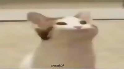 10 yr old me in mommies car singing along to a kool song :