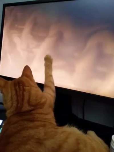 No more World War II documentaries for this orange boy 
