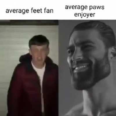 Paws_irl