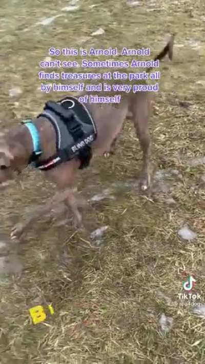 Proud treasure hunter