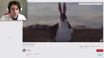 YOOOOOOOOOOOOOOO