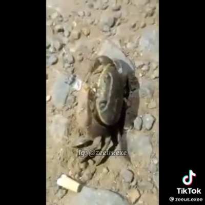 (titulo interesante pq no se que poner)
