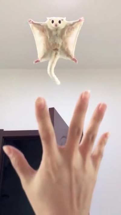 Momma catch me!