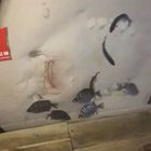 No Way To Escape