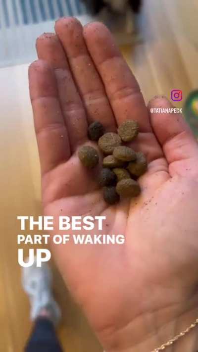 The best part of waking up