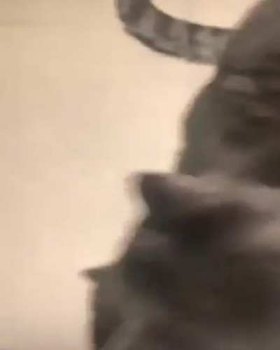 AOT summarized