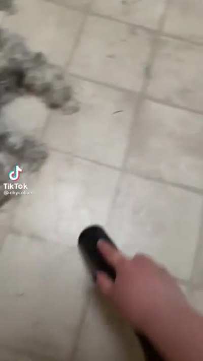 Just some light vacuuming