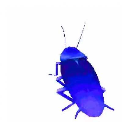 Why not just set this as your profile pic?