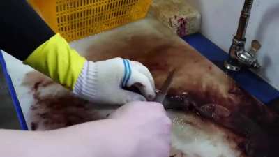 If you feel the urge, just watch this video and imagine how it would feel...