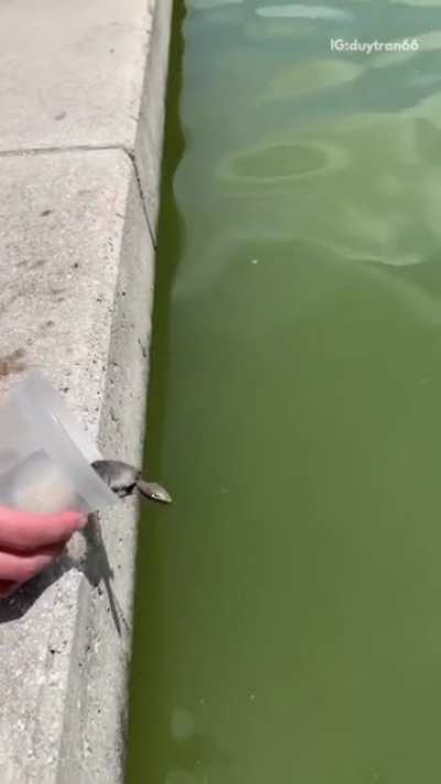 To give squirt freedom