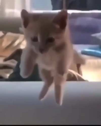 Noooouu