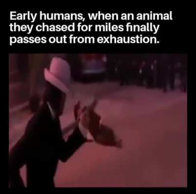 Persistence hunting must have been something else. Hunted animals probably thought our ancestors were terminators or something.
