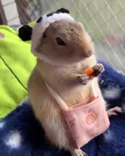 Brought his own snacks