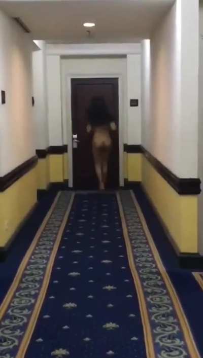 hotel hallway