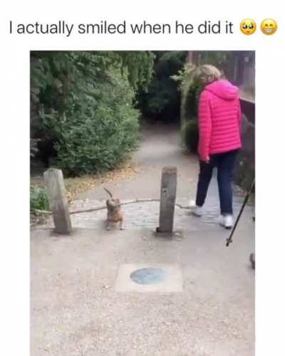 smart dog!!!!