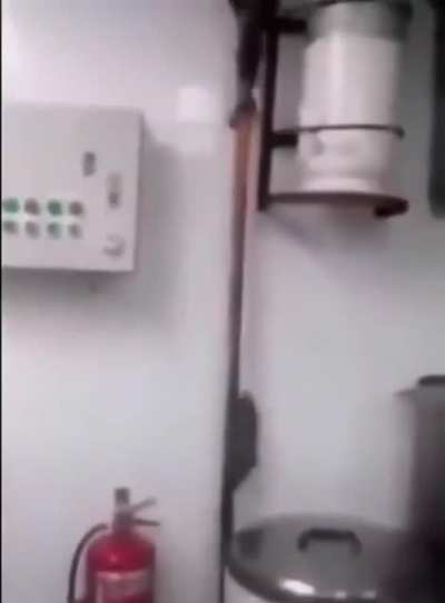 🐀