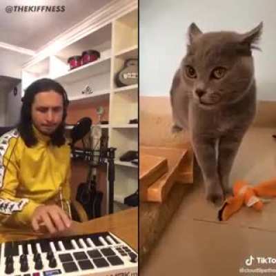 Once you hear it, you can't get it out of your head.