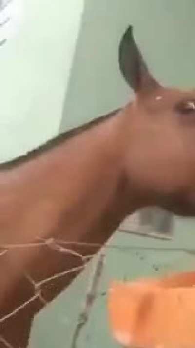 juan👉👈