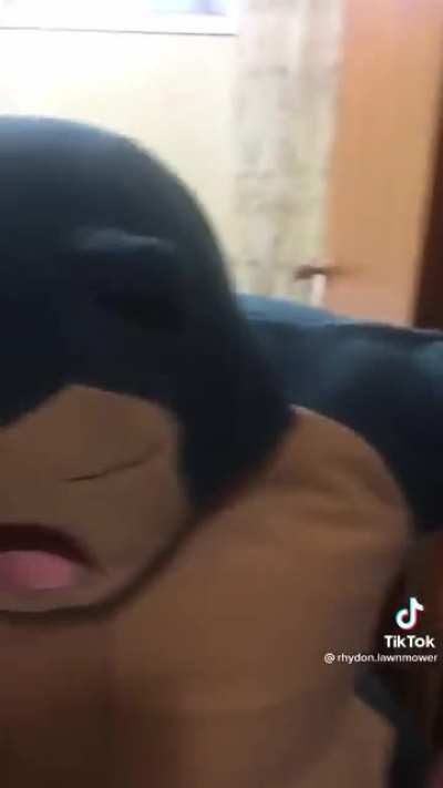 I have no words…. Only laughs