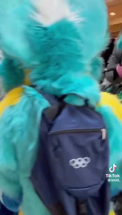 Furry_irl