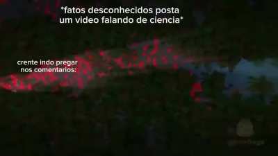 Desse jeito