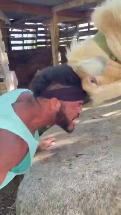 To out ram a ram