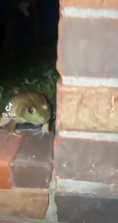 He's scared