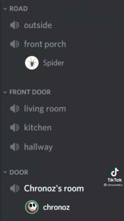 Spider in my house.