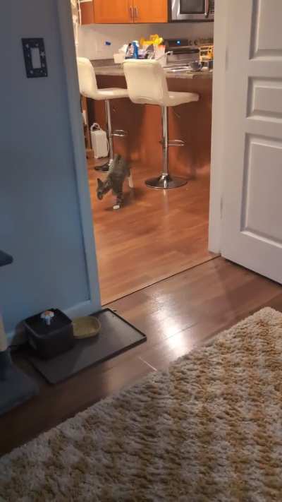 catculated drift